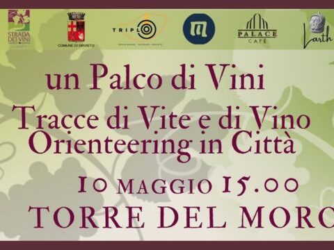 Un Palco di Vini: Orienteering tra Storia e Calici a Orvieto il 10 Maggio 2025