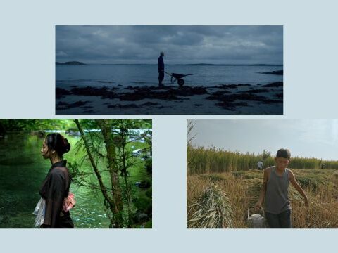 Ischia Film Festival 2025 - Il concorso dei lungometraggi d’autore al Castello Aragonese