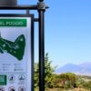 Spettatori al Parco del Poggio durante il Cinema al Poggio a Napoli