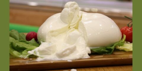 WeBufala caseificio artigianale primo anniversario mozzarella di bufala 100%